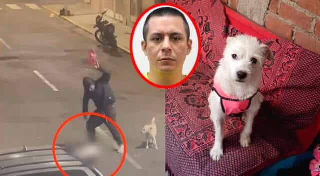 En Trujillo capturan a hombre acusado de matar perrito a pedradas y ladrillazos