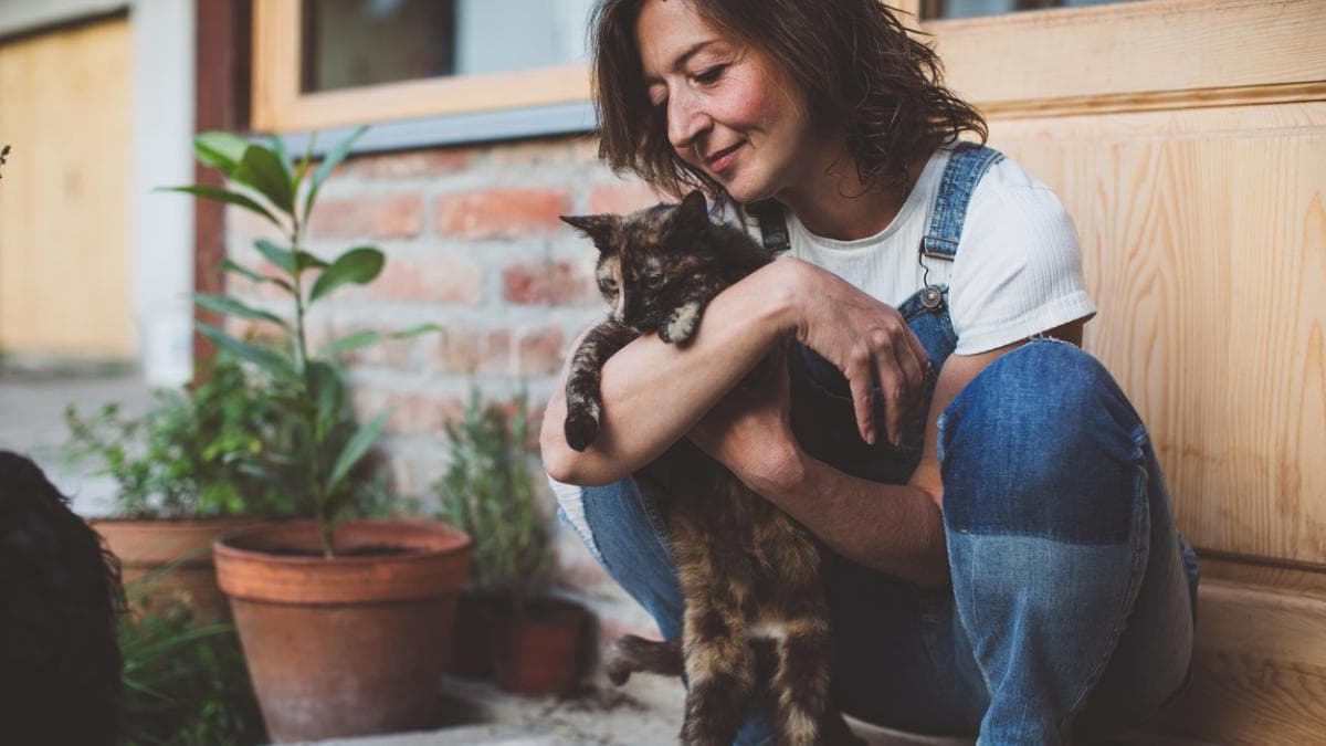 Huánuco: gestora felina en crisis pide ayuda urgente