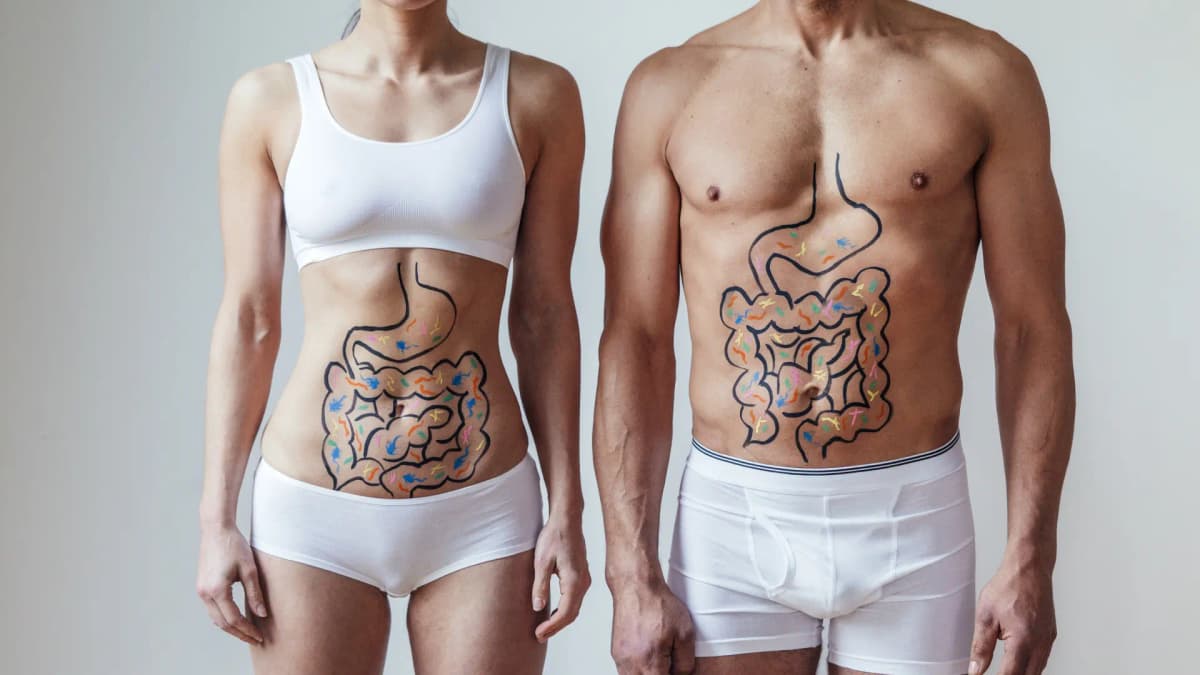 Dieta y bacterias reprograman tu grasa para quemar energía