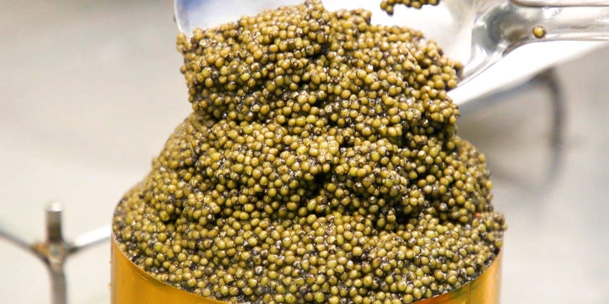 Más caviar que nunca, ¿por qué sigue tan caro
