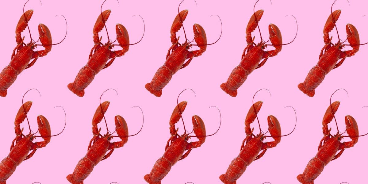 OpenClaw la rompe en internet con sus imágenes más bizarras