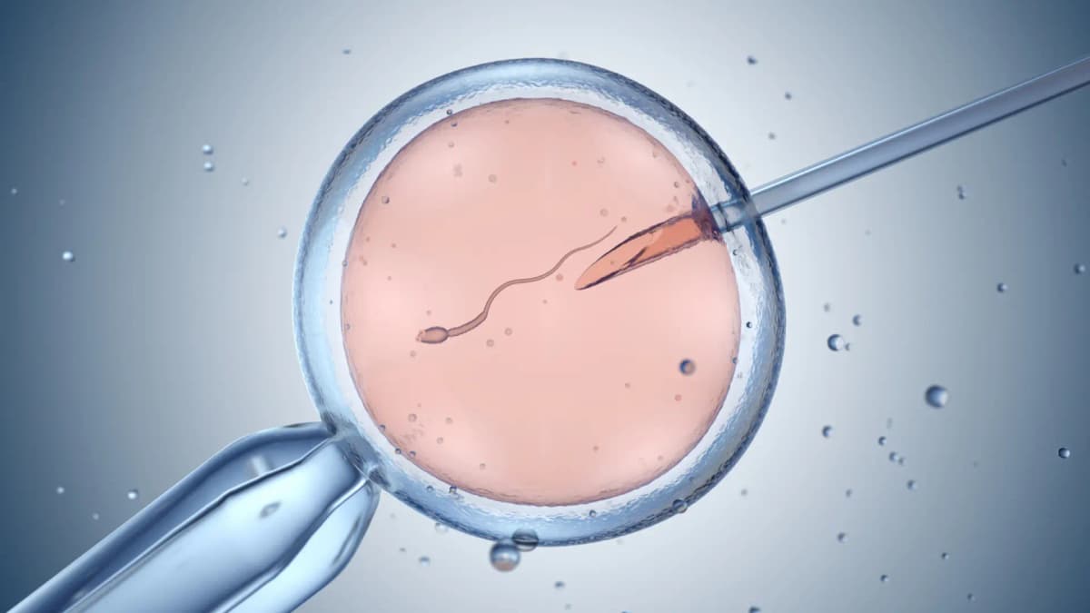 Estudio clave: Eyacular seguido mejora esperma y evita su deterioro