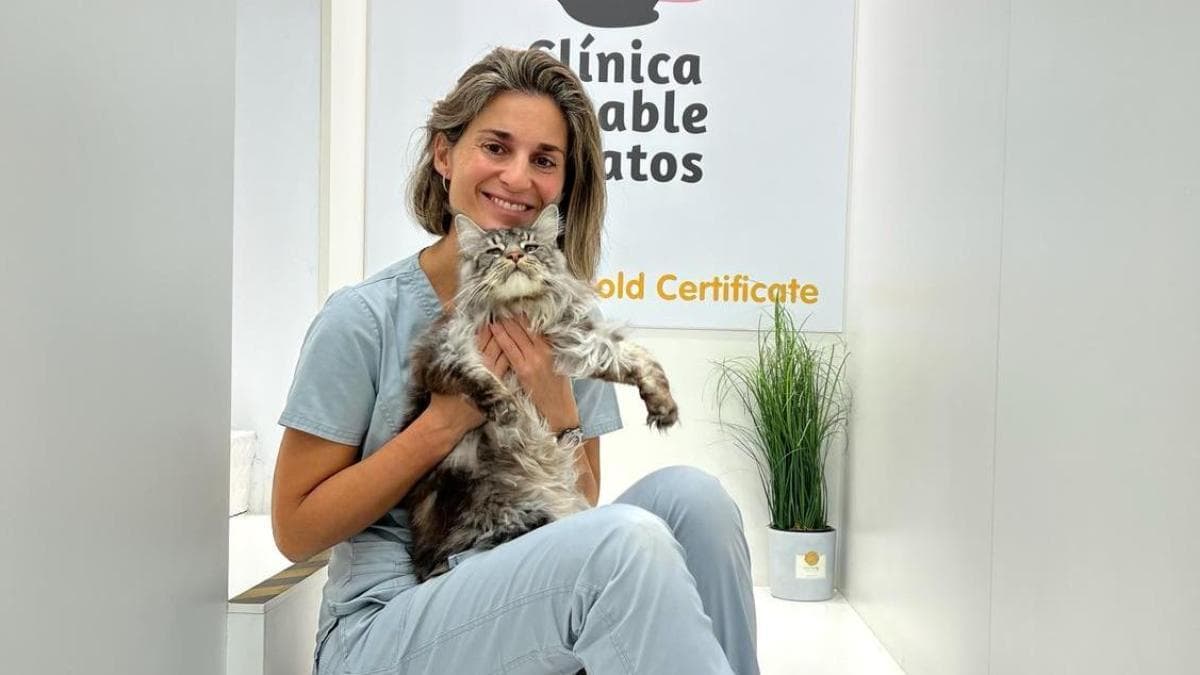 Mireia Balliu: Gatos sufren enfermedades invisibles, progresivas y silenciosas
