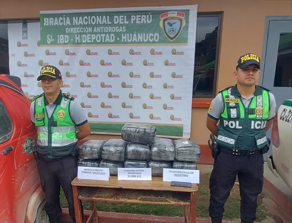 Incautan más de 32 kilos de marihuana durante operativo policial en la zona de Huachipa