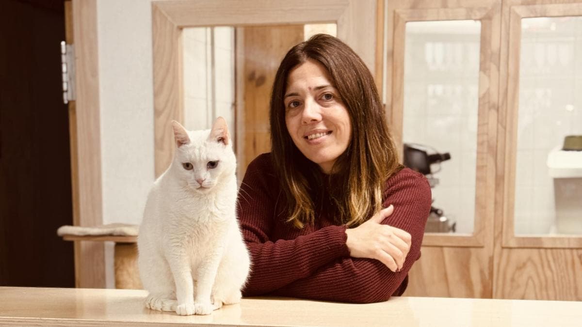 España abre primer cat café mundial que permite adoptar gatos