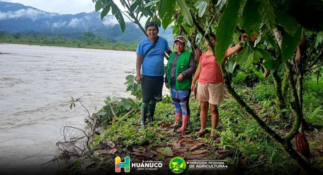 Seguro agrícola se activa solo con reportar daños en cultivos afectados por clima