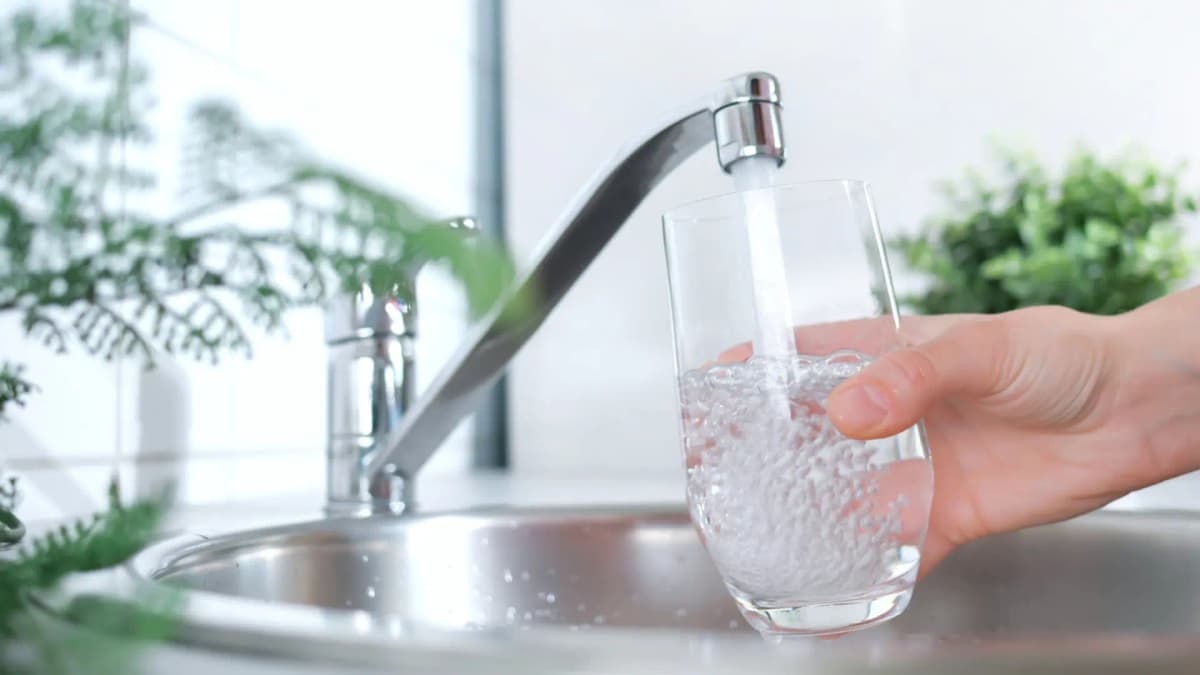 Mitos del agua: ¿Ocho vasos diarios? Diario Ahora te dice la verdad