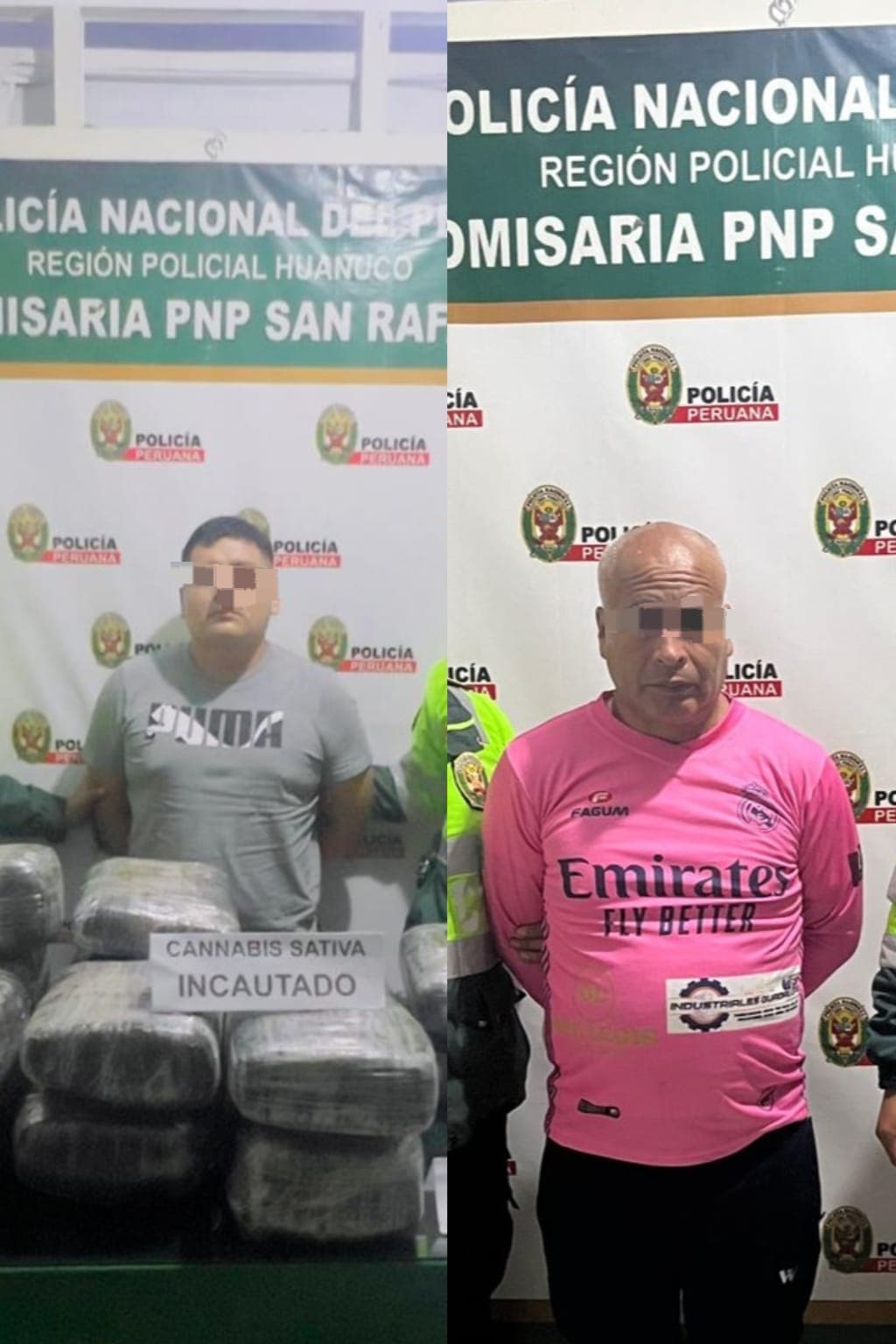 Incautan 50 kilos de marihuana en San Rafael y detienen a pasajero de bus interprovincial