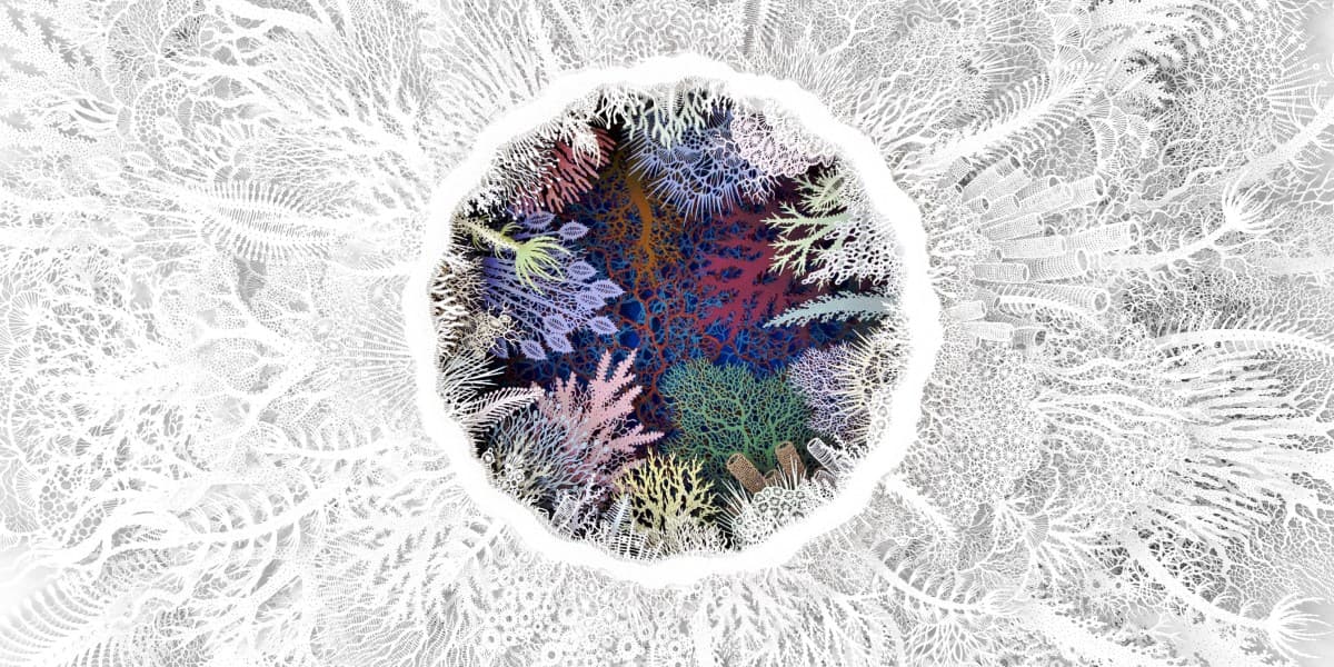 Revelan el patrón secreto que define el poder en Huánuco