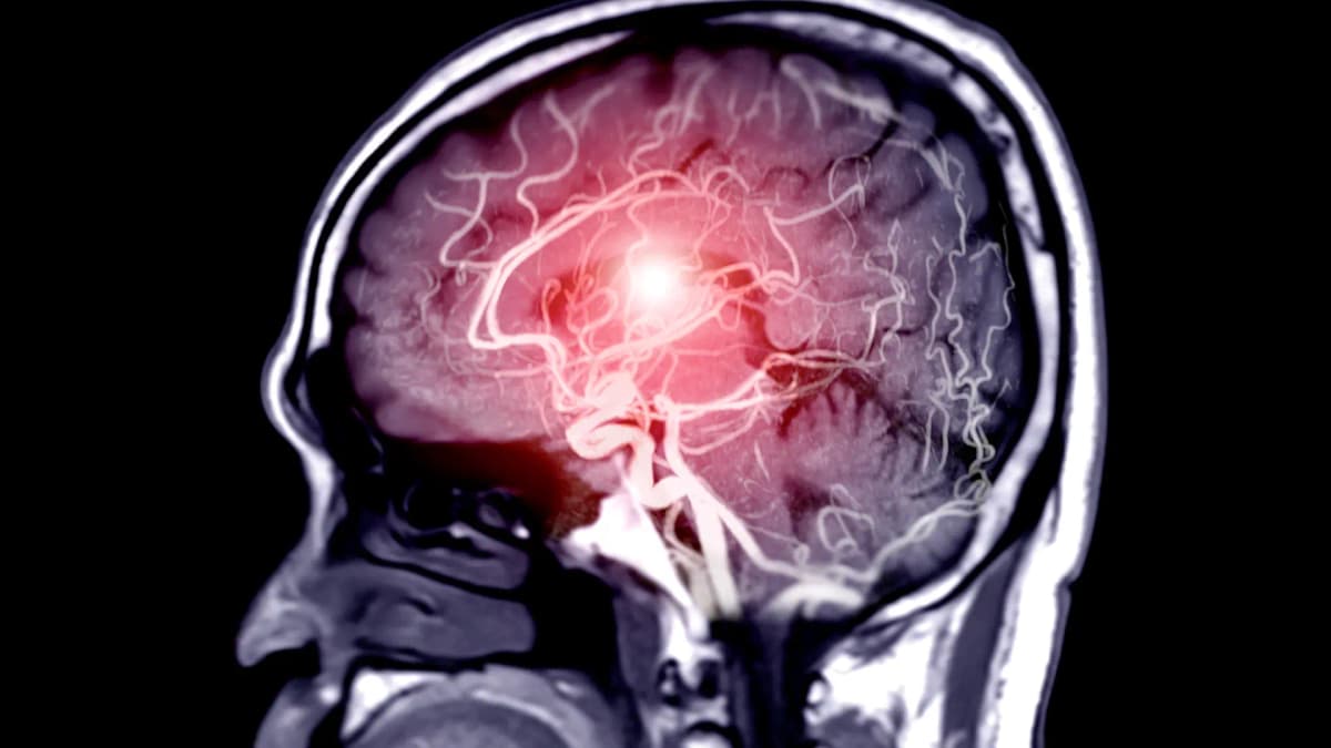 Retrasa el envejecimiento cerebral: tu hobby con solo prismáticos