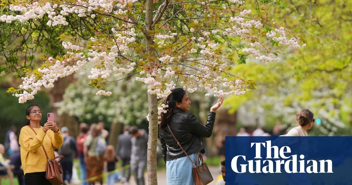 Flores primaverales explotan en Inglaterra por condiciones climáticas perfectas