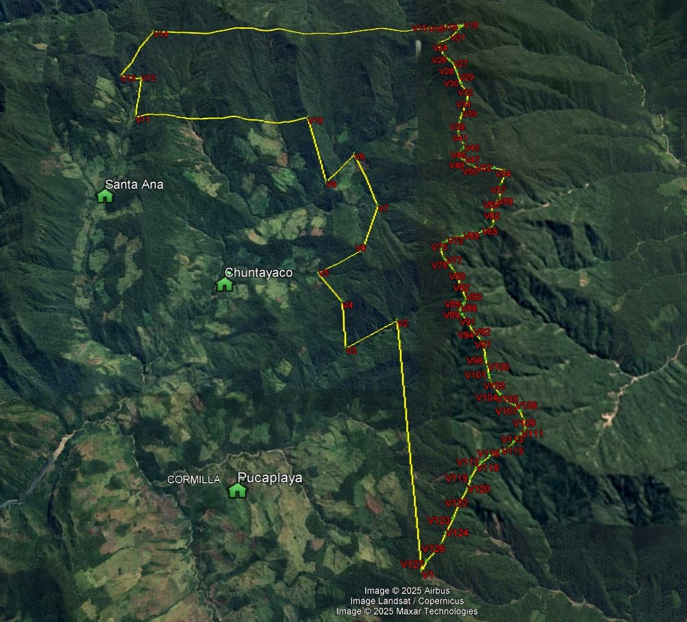 Monte Verde denuncia presión sobre bosque de Chaglla tras nulidad de concesión