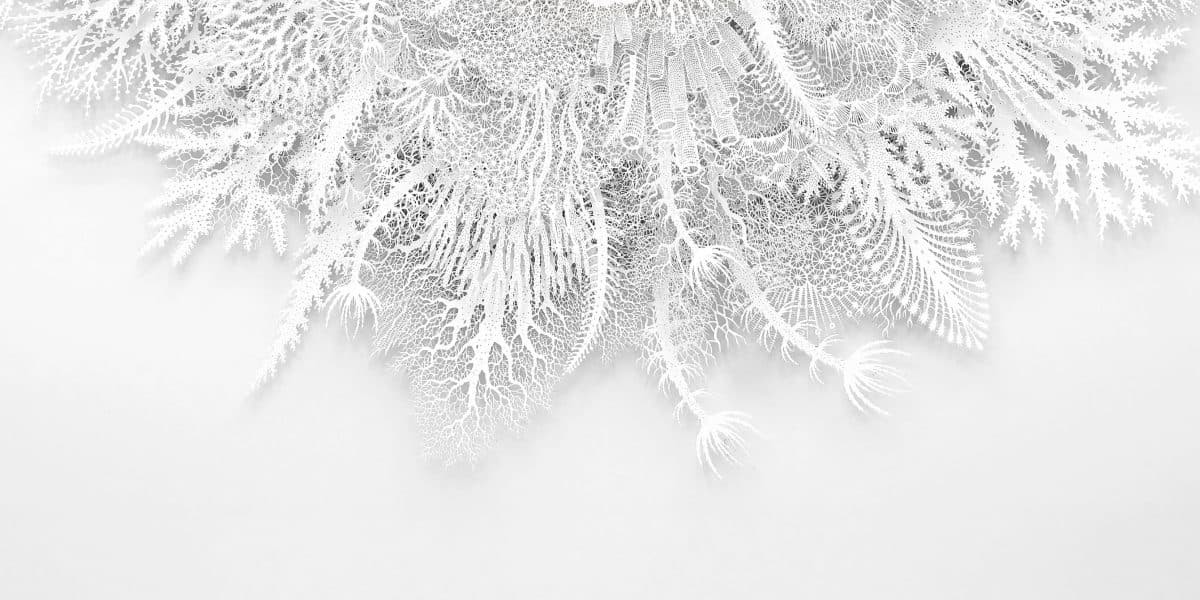 Jeff VanderMeer: Historia inédita y la IA que da miedo liberar