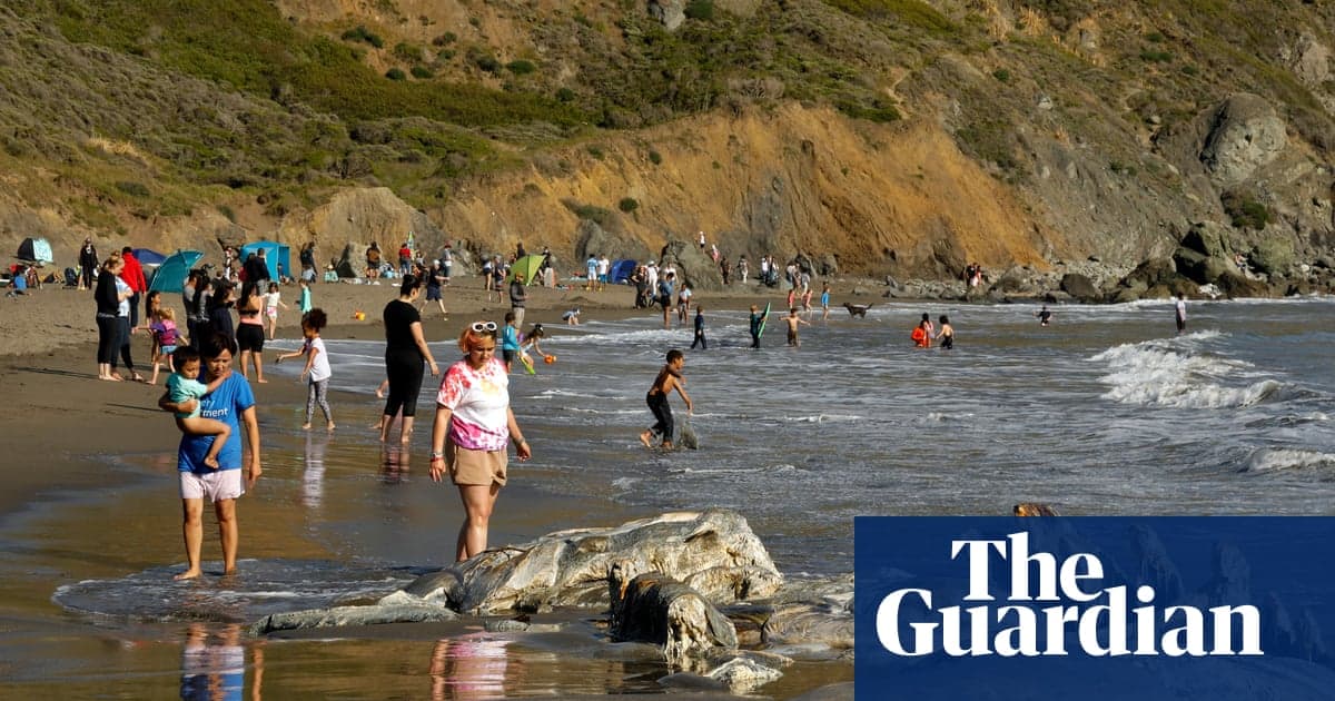 Tragedia en San Francisco: ballenas grises mueren sin control