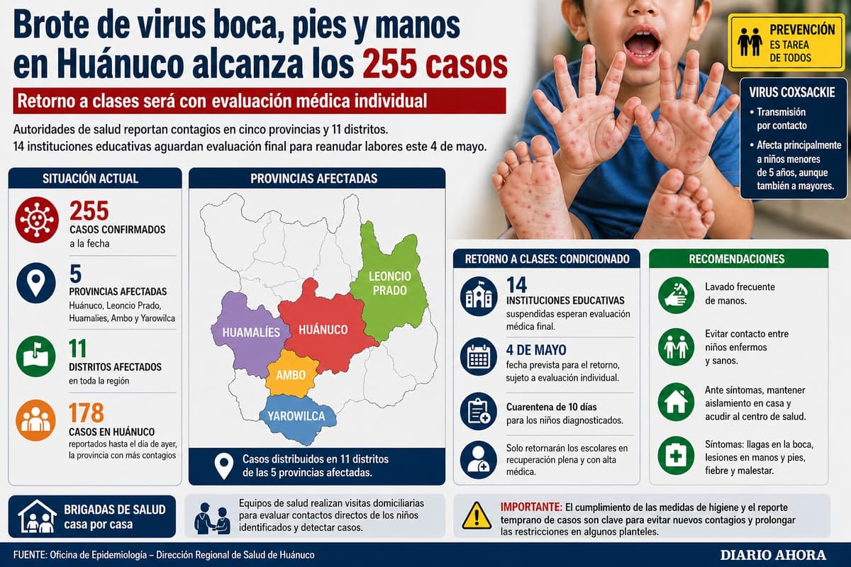 Brote de virus boca, pies y manos en Huánuco alcanza los 255 casos y condiciona el retorno a clases
