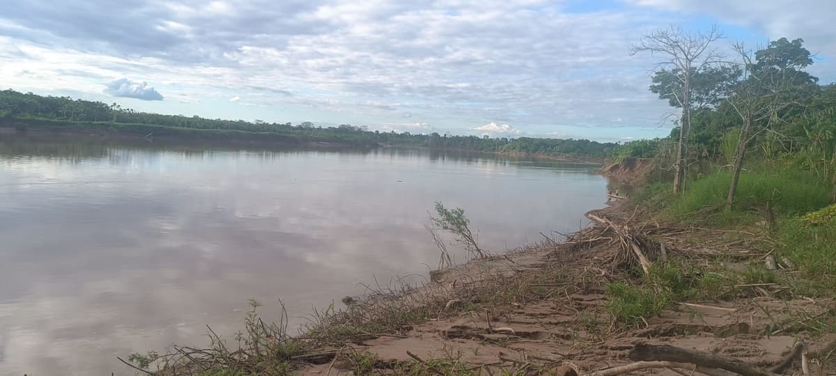 Río Pachitea amenaza escuela indígena y deja en riesgo a 177 estudiantes en Honoria