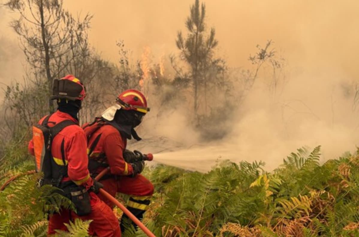 Gobierno actualiza plan contra incendios forestales para 2026