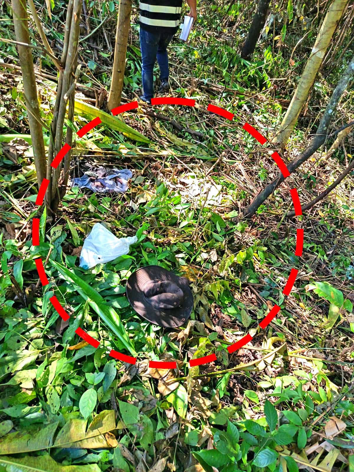 Investigan a cinco detenidos por presunto secuestro de productor cacaotero en Puerto Inca
