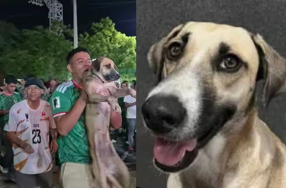 Mujer encuentra a su perrita tras verla en transmisión en vivo de festejos por México en Mundial 2026