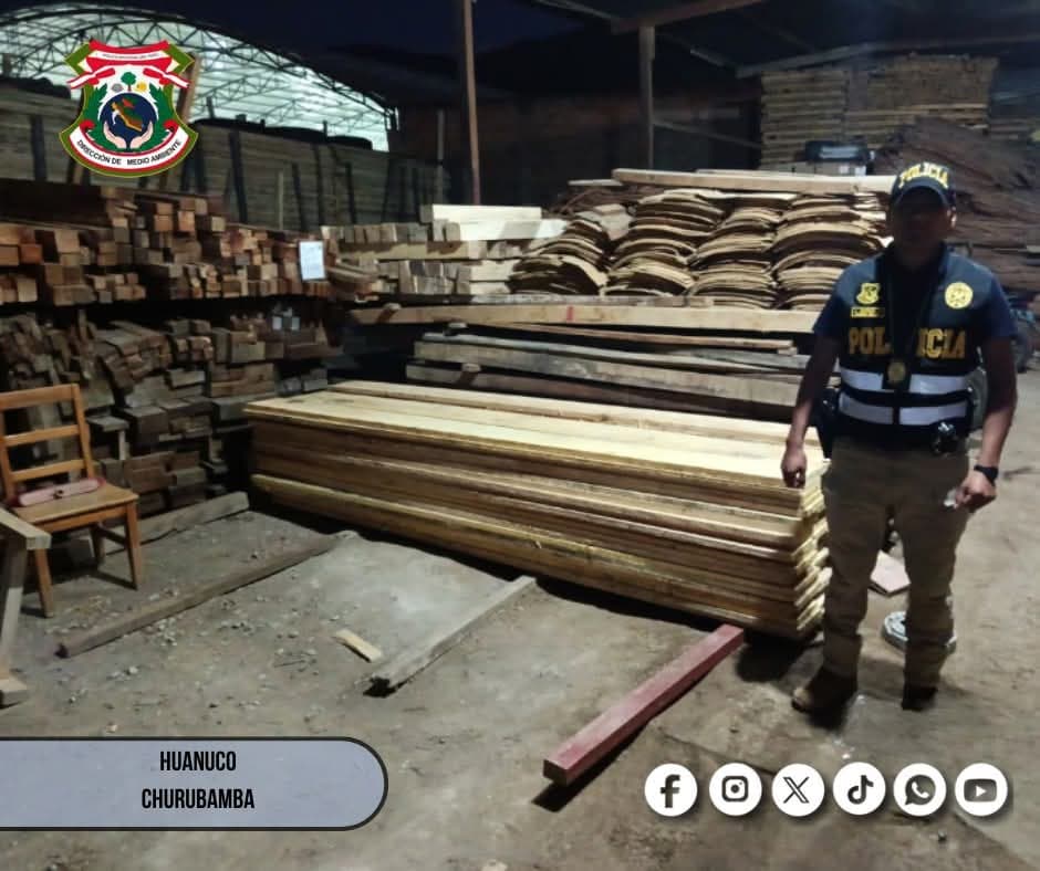 Incautan madera presuntamente ilegal valorizada en más de S/ 2 mil en Churubamba