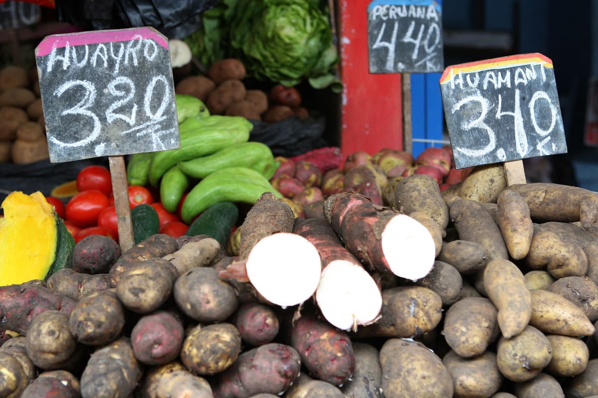 Precios en Huánuco bajan 1,47% en mayo por caída del transporte y alimentos