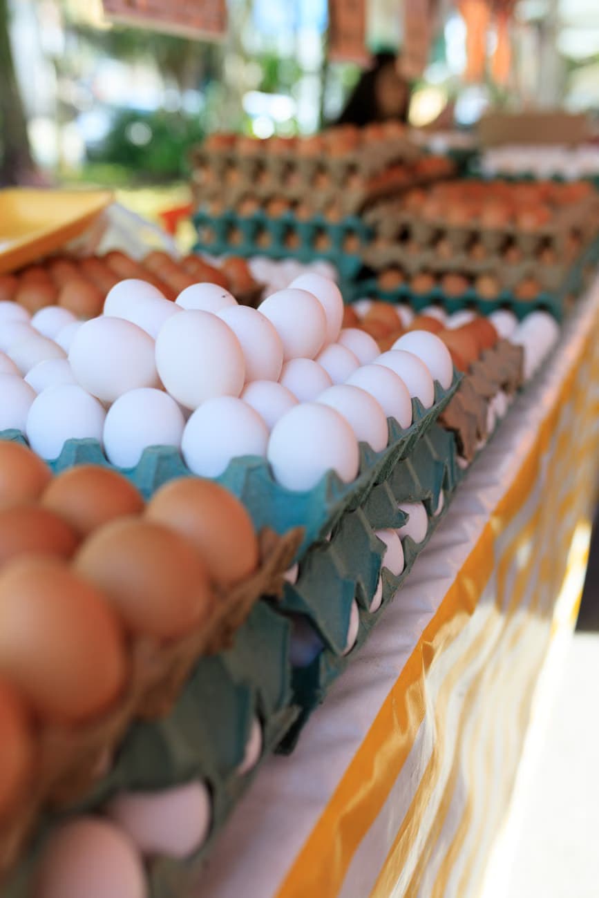 Congreso aprueba registro gratuito para vendedores de huevos de codorniz en vía pública
