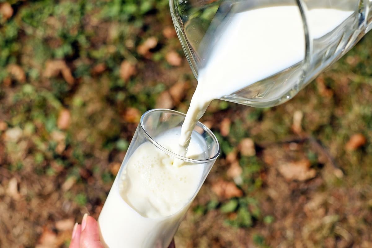 Litardo Marengo transformó la leche en yogures artesanales con apoyo del Tambo Condorcancha