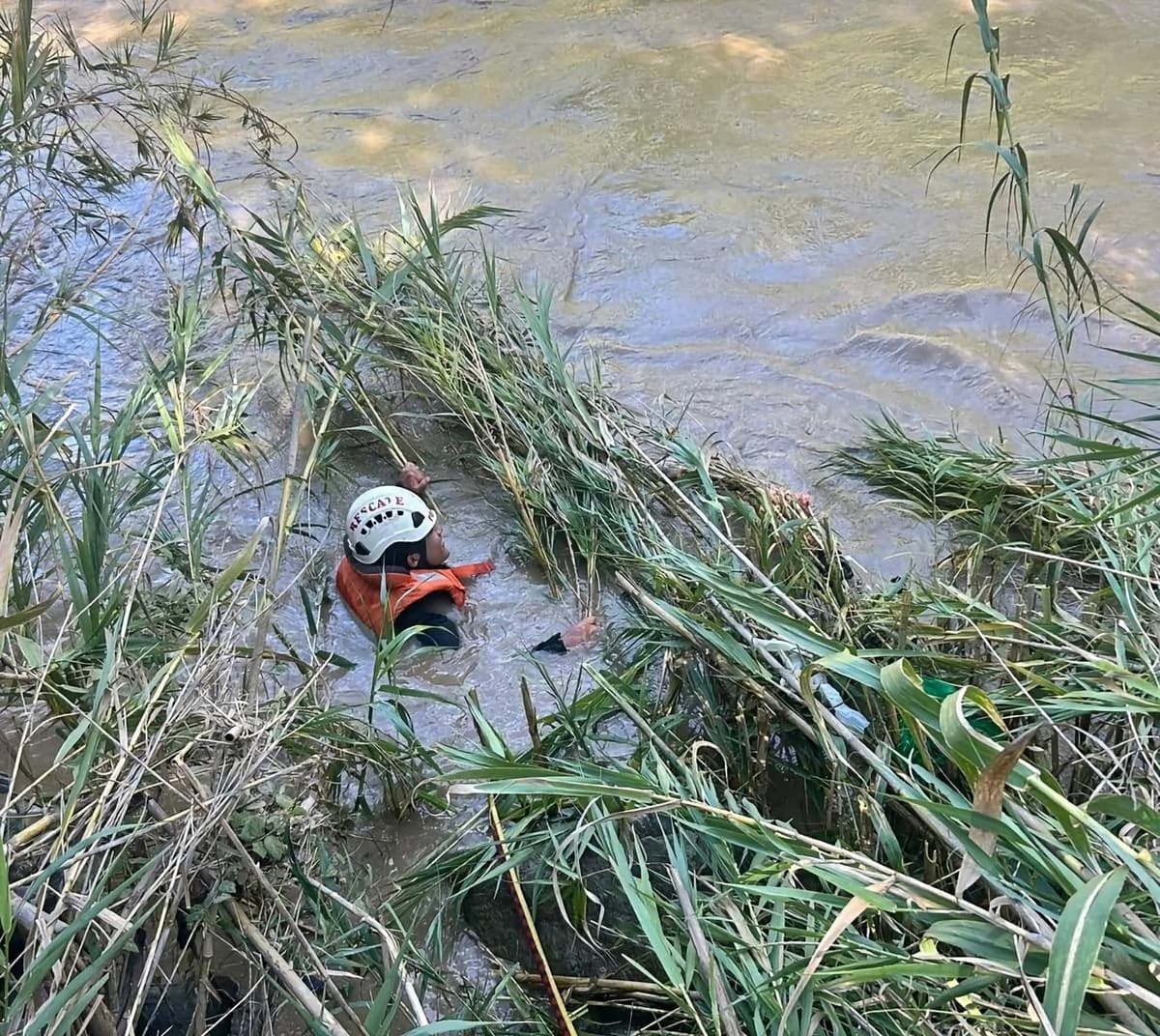 Hallan restos óseos atascados en árbol de sauce en el río Huallaga