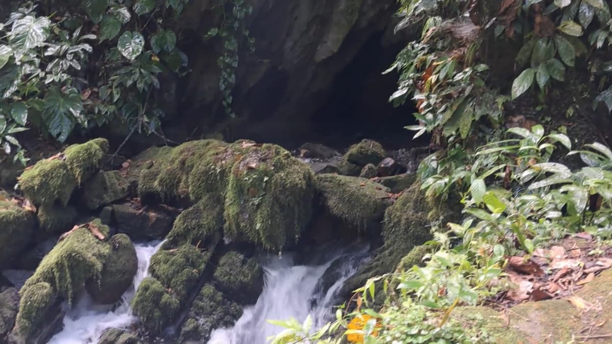 Cueva de Consuelo busca abrirse paso como nuevo atractivo turístico de Pucayacu