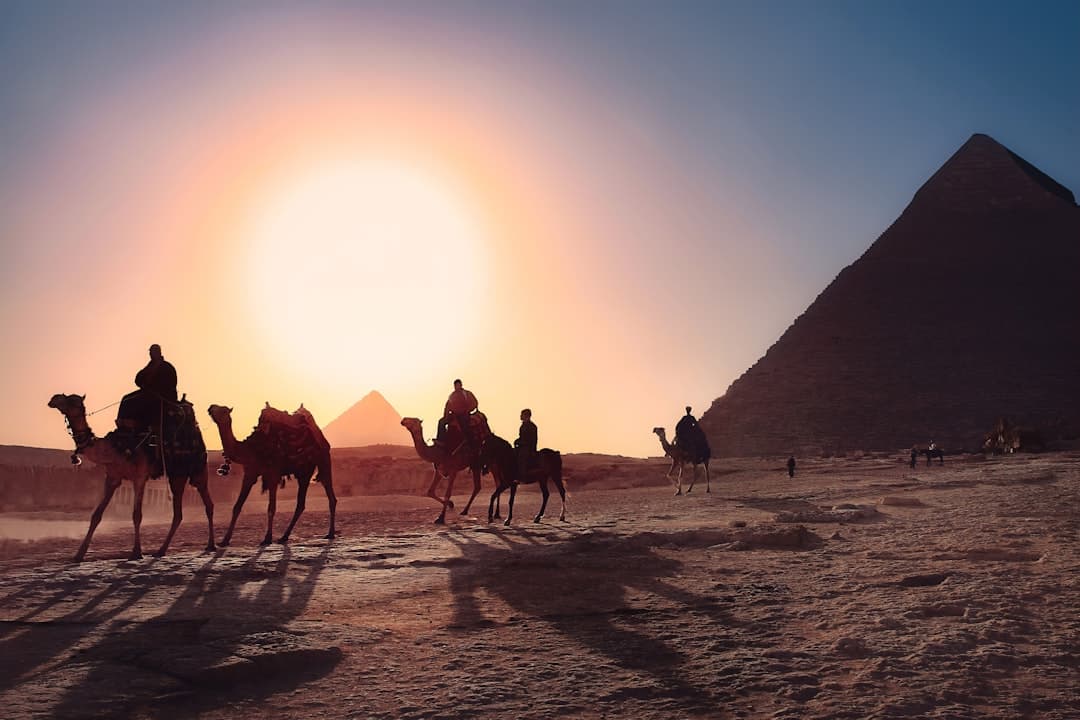 Egipto hace historia en el Mundial con triunfo ante Bélgica y gol de Salah