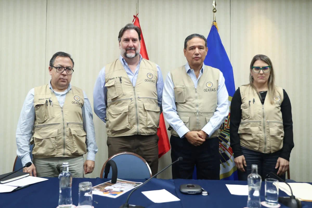 Elecciones 2026: Misión electoral de la OEA pide a JEE actuar con celeridad