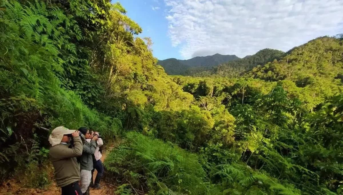 A 1700 metros, 19 productores convierten el café de Cholón en una apuesta de mayor valor