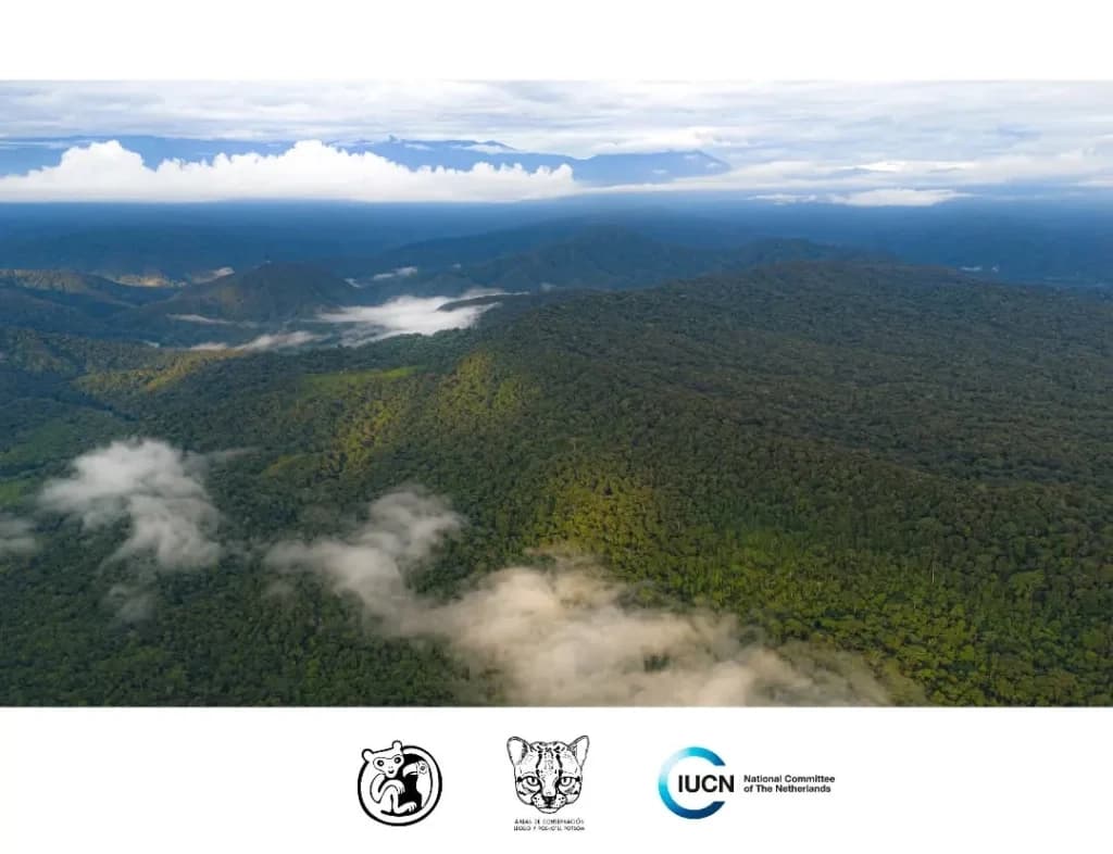 Llollo protegerá bosques y fuentes de agua en Oxapampa tras reconocimiento del Minam