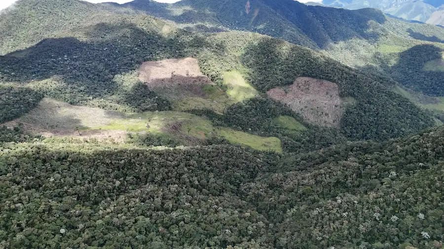 Dron detecta 17 hectáreas taladas y Monte Verde estima más de 72 afectadas en Chaglla