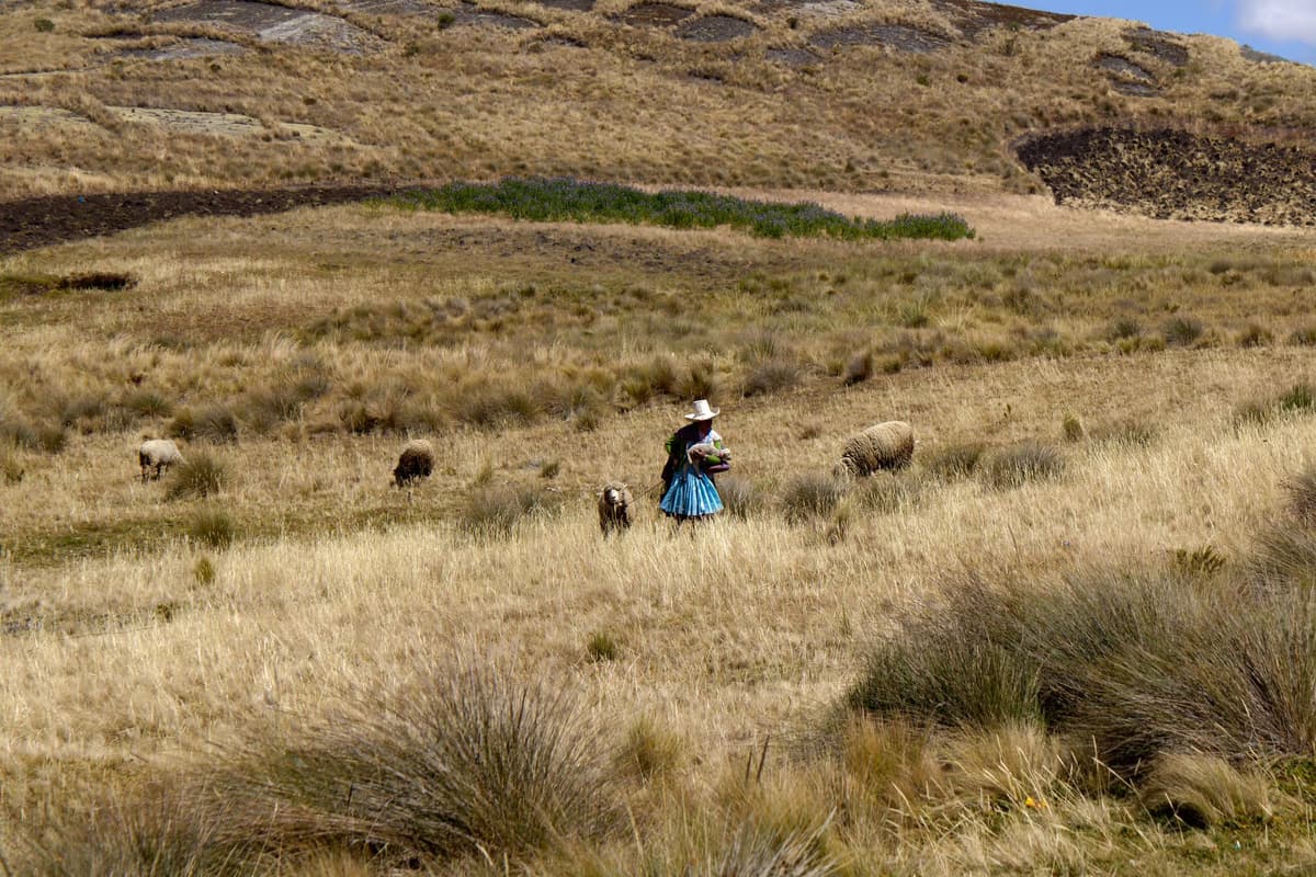Minería ilegal: denuncian atentado con incendio de viviendas en Puerto Inca, Huánuco