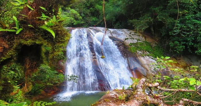 Alto Catarata abre una ruta entre cafetales, aves endémicas y tres caídas de agua