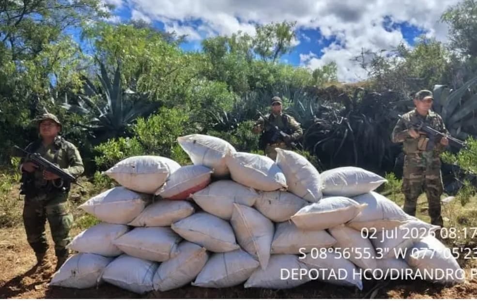 Golpe al narcotráfico en Huacaybamba: decomisan más de 466 kilos de marihuana