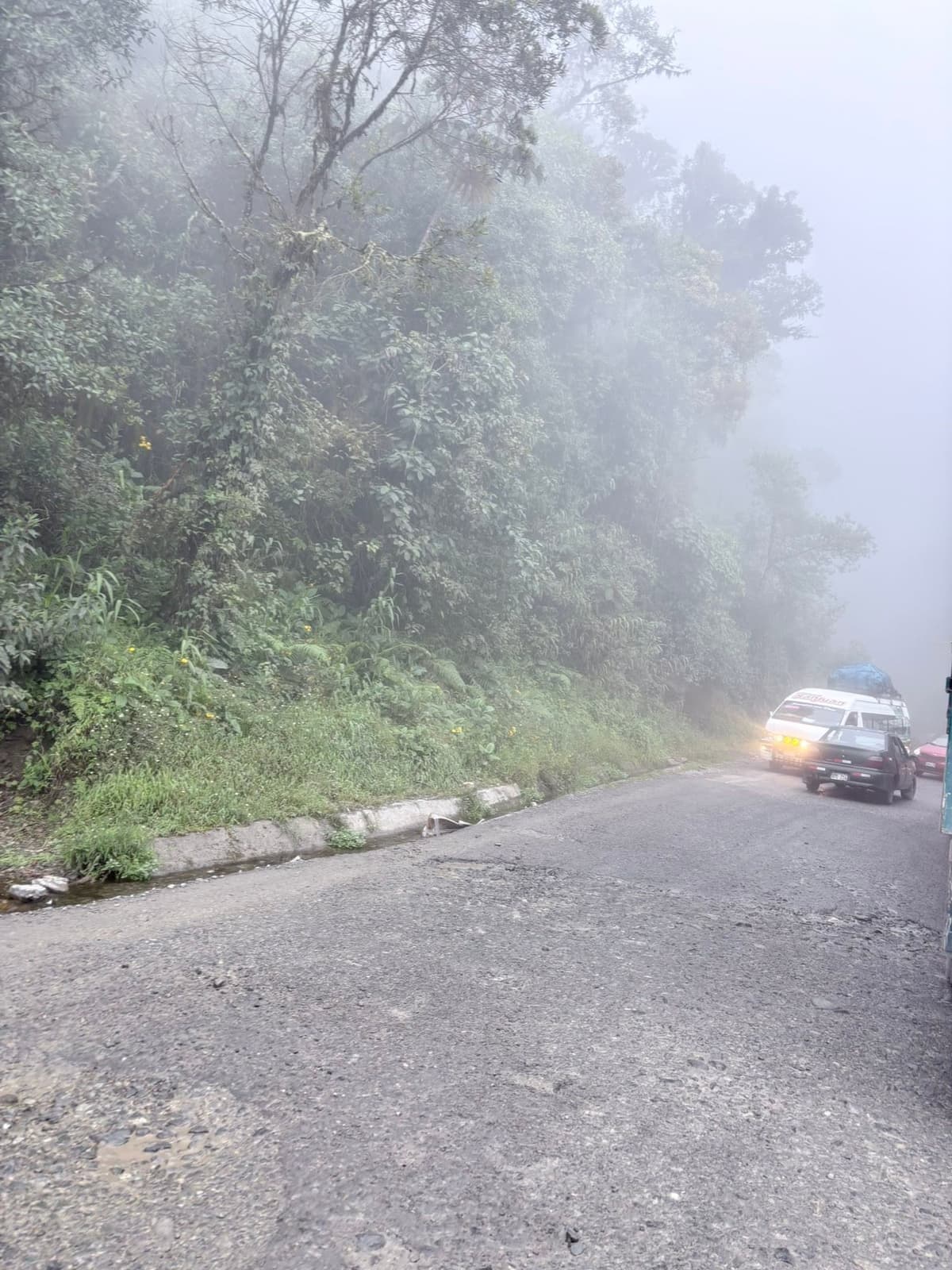 Tingo María registró noche muy cálida y la mayor lluvia del monitoreo regional