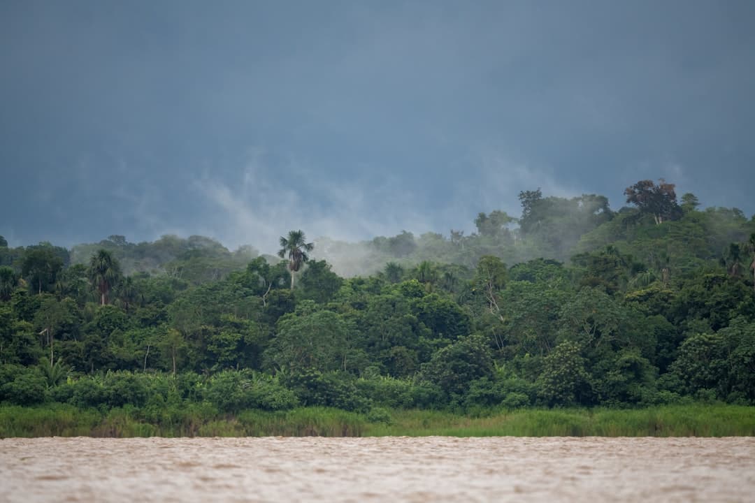Senamhi advierte: quinto friaje del año traerá lluvias intensas y vientos fuertes a la selva sur