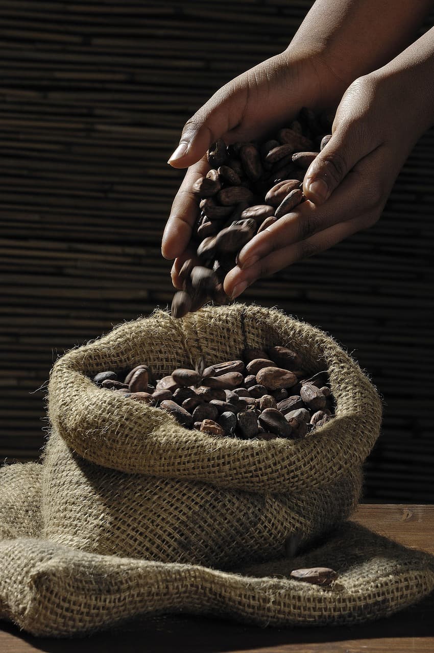 Perú se consolida como segundo mayor exportador de cacao en grano de América Latina