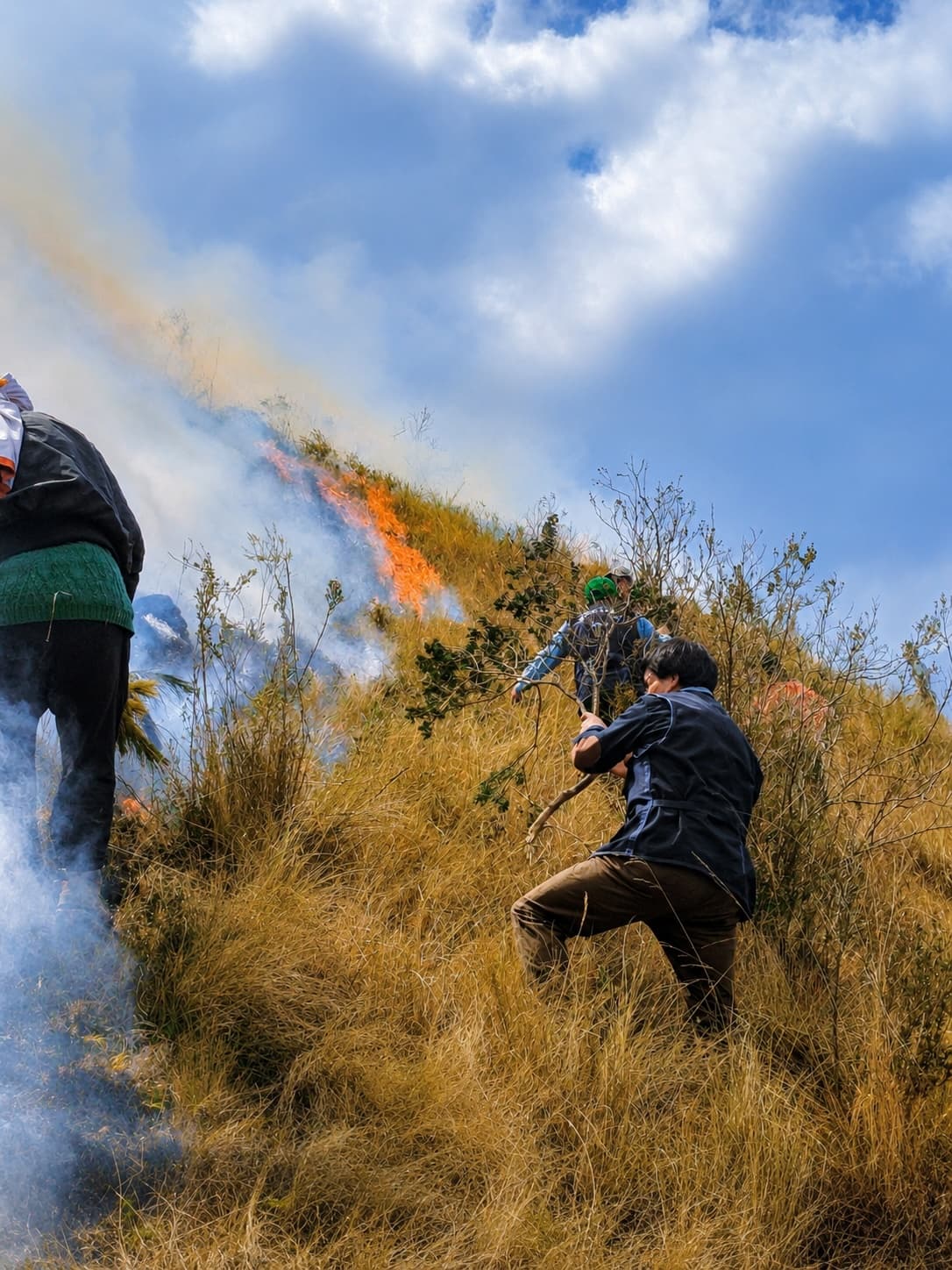 Solo dos municipalidades elaboran planes para enfrentar incendios forestales