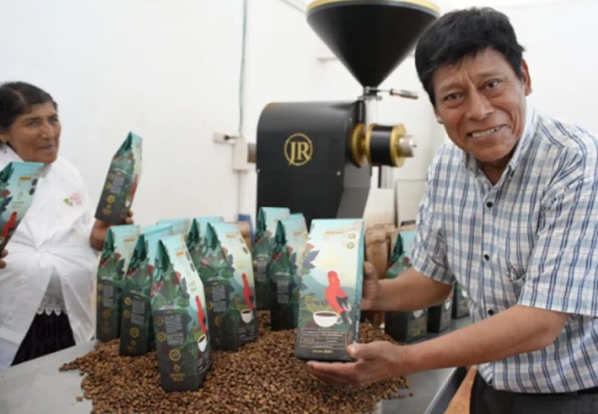 Café puneño conquista París con nueve medallas en concurso internacional