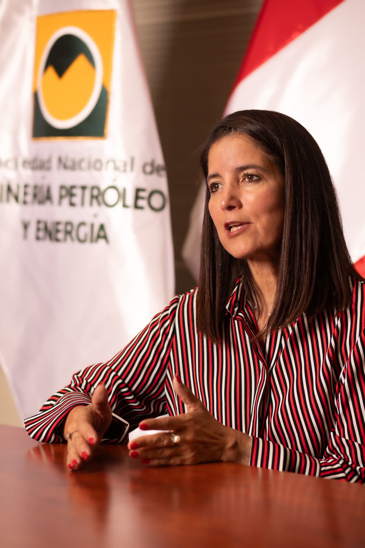 SNMPE saluda decisión de combatir minería ilegal y pide cerrar Reinfo