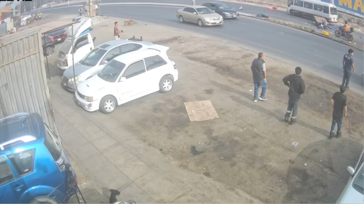 Ate: mujer fallece tras ser arrollada por dos vehículos de transporte público en la Carretera Central