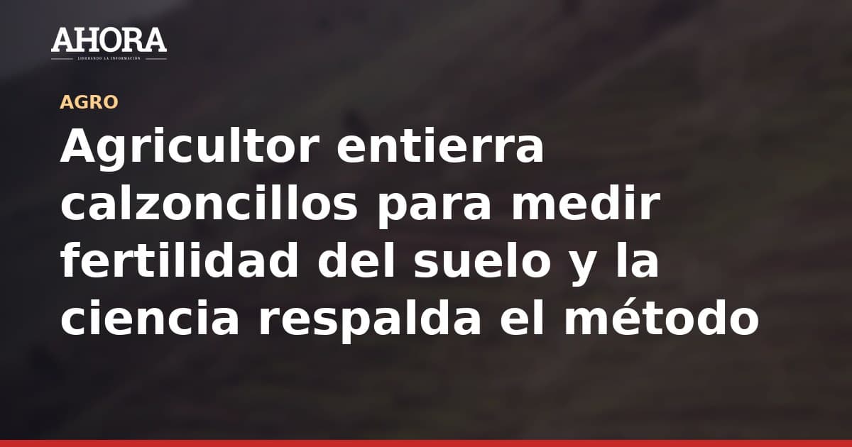 Agricultor entierra calzoncillos para medir fertilidad del suelo y la ciencia respalda el método