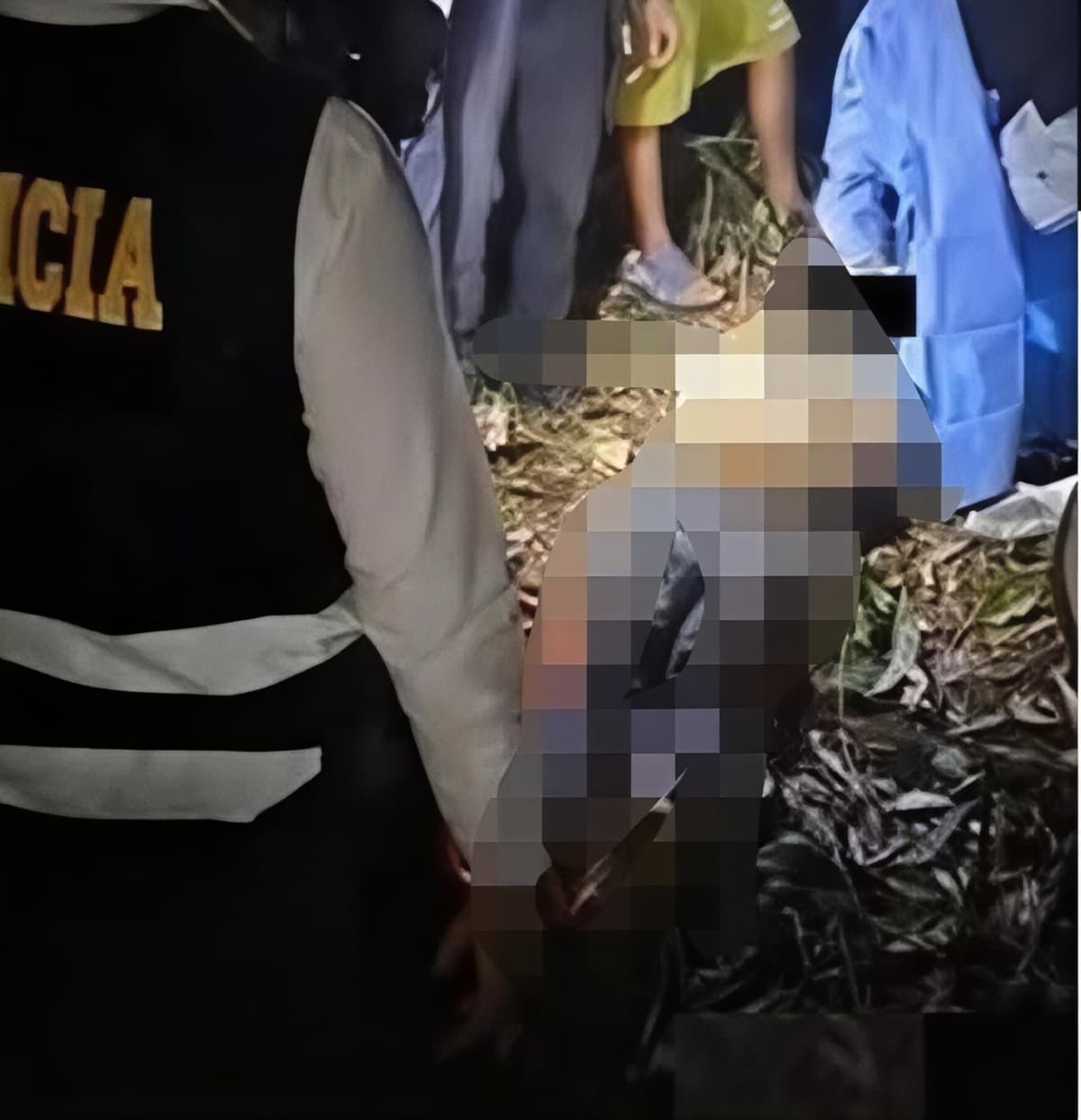 Hombre muere aplastado por árbol mientras trabajaba en su chacra de Castillo Grande