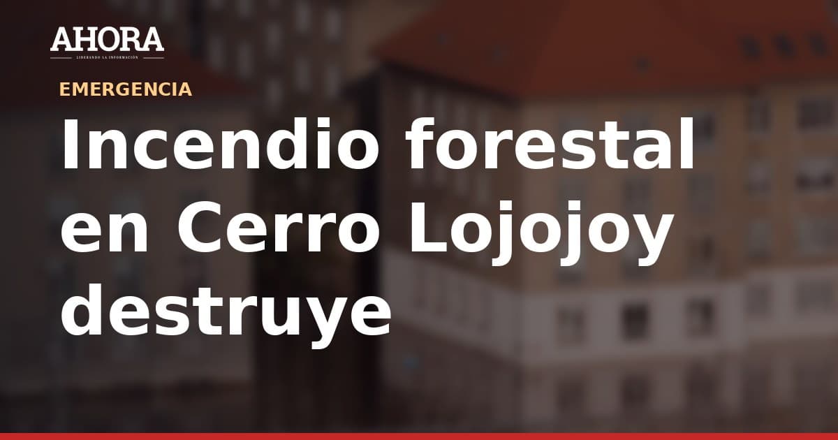 Incendio forestal en Cerro Lojojoy destruye 500 hectáreas y ocho viviendas en La Unión
