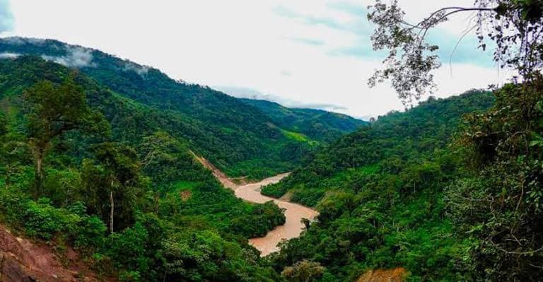 Midagri aprueba la zonificación que define el uso de los bosques de Puerto Inca