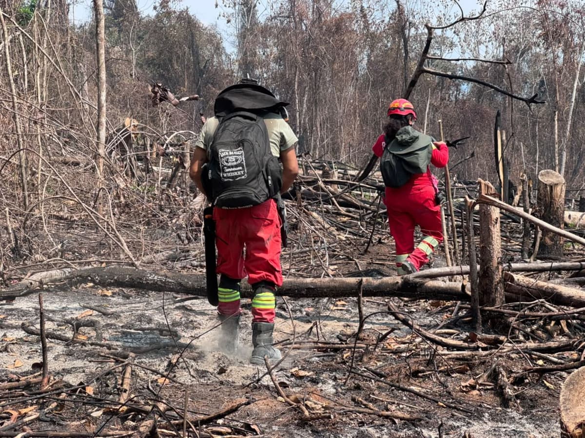 Cutivireni: comunidad asháninka pide más bomberos por dos incendios forestales