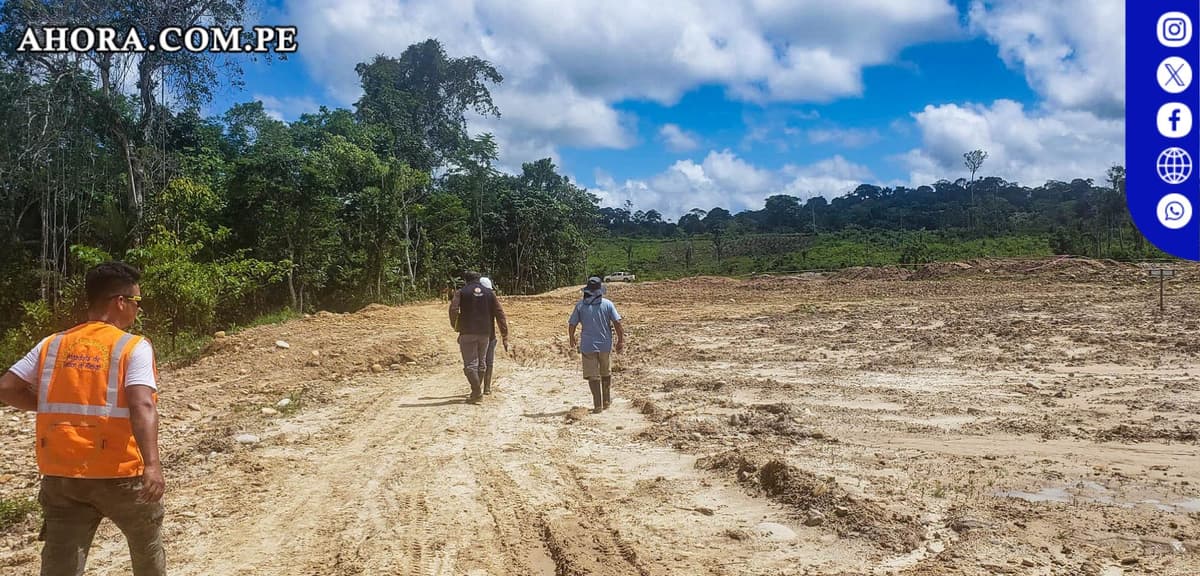Perú: Aumenta la deforestación en un 6% durante 2022